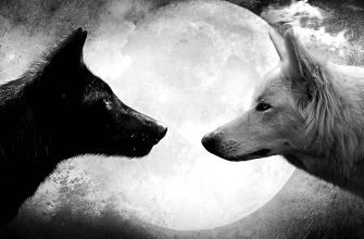 Притча про двух волков