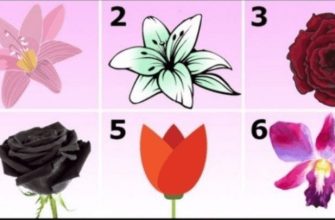 Выберите самый красивый цветок